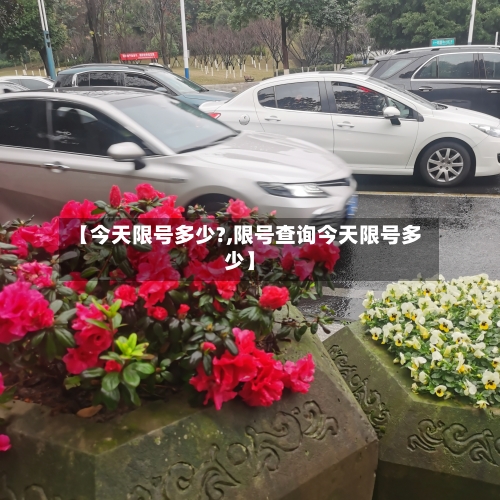 【今天限号多少?,限号查询今天限号多少】-第3张图片