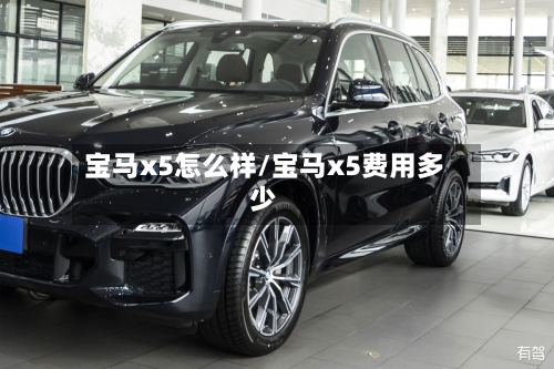 宝马x5怎么样/宝马x5费用多少-第3张图片