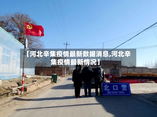 【河北辛集疫情最新数据消息,河北辛集疫情最新情况】-第2张图片