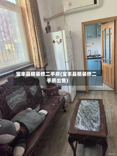 宝丰县精装修二手房(宝丰县精装修二手房出售)-第2张图片