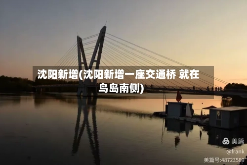 沈阳新增(沈阳新增一座交通桥 就在鸟岛南侧)