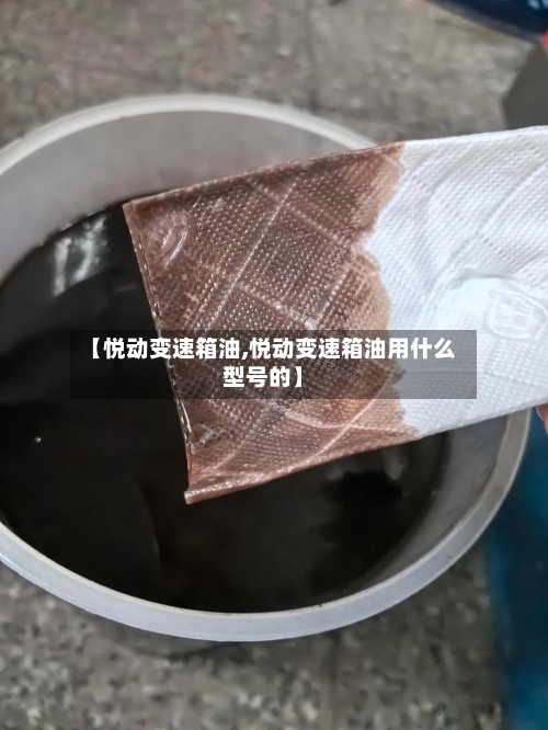 【悦动变速箱油,悦动变速箱油用什么型号的】-第3张图片