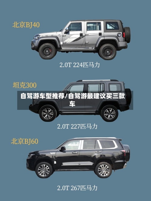 自驾游车型推荐/自驾游最建议买三款车