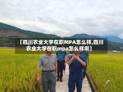 【四川农业大学在职MPA怎么样,四川农业大学在职mpa怎么样啊】-第3张图片