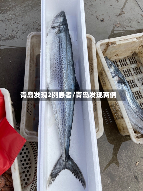 青岛发现2例患者/青岛发现两例