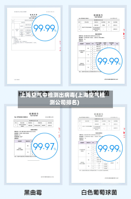 上海空气中检测出病毒(上海空气检测公司排名)-第3张图片