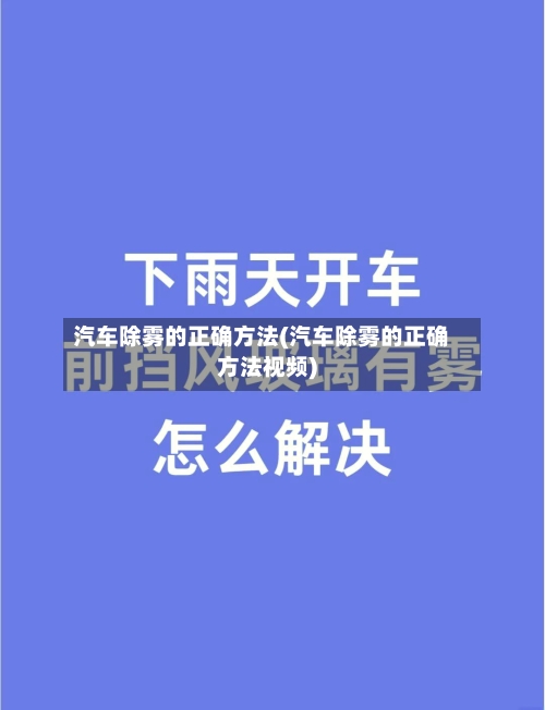 汽车除雾的正确方法(汽车除雾的正确方法视频)-第2张图片